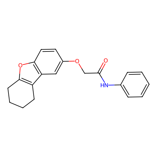 N-phenyl-2-(6,7,8,9-tetrahydrodibenzo[b,d]furan-2-yloxy)acetamide structure