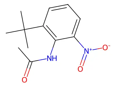 N-{2-tert-butyl-6-nitrophenyl}acetamide structure