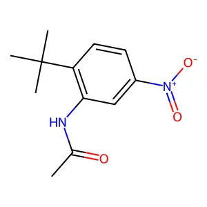 N-(2-tert-butyl-5-nitrophenyl)acetamide structure