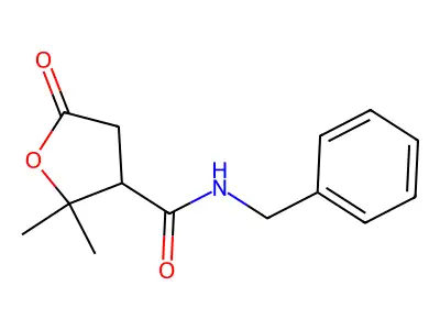 N-benzyl-2,2-dimethyl-5-oxooxolane-3-carboxamide structure