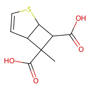 6-Methyl-2-thiabicyclo[3.2.0]hept-3-ene-6,7-dicarboxylic acid structure