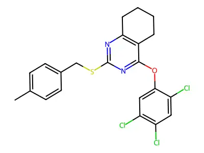 6N-313S structure