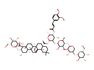 Senegin II structure
