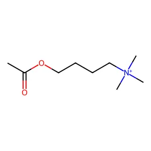 (4-Acetoxybutyl)trimethylammonium structure