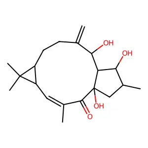Lathyrol structure