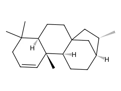 Kaurene structure