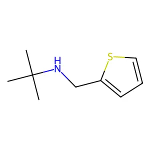2-甲基-N-(噻吩-2-基甲基)丙-2-胺 structure