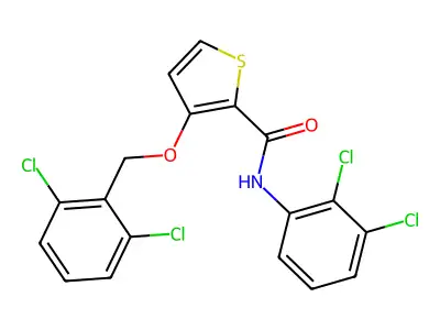 N-(2,3-dichlorophenyl)-3-[(2,6-dichlorophenyl)methoxy]thiophene-2-carboxamide structure