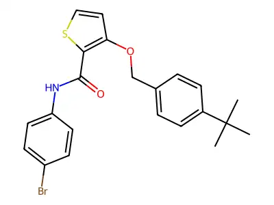 N-(4-bromophenyl)-3-[(4-tert-butylphenyl)methoxy]thiophene-2-carboxamide structure