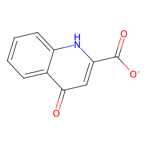 Kynurenate structure