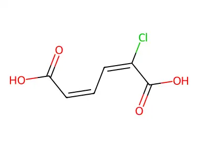 2-Chloro-cis,cis-muconic acid structure