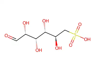 (2R,3S,4R,5R)-2,3,4,5-tetrahydroxy-1-oxohexane-1-sulfonic acid structure