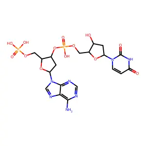 Poly(d(A-U)) structure