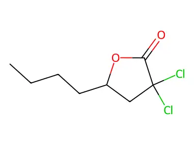 5-Butyl-3,3-dichlorodihydrofuran-2(3H)-one structure
