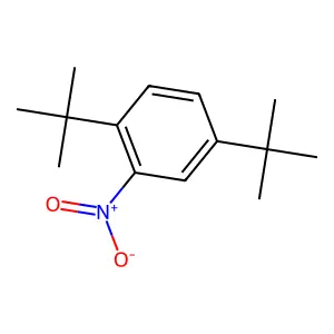 2,5-Di-t-butylnitrobenzene structure