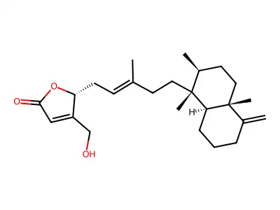 Thorectandrol A structure