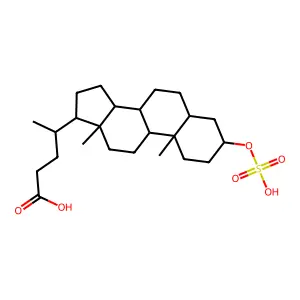 SLCA-Sulfolithocholic acid structure