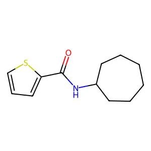 N-cycloheptylthiophene-2-carboxamide structure