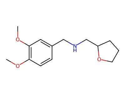 N-[(3,4-dimethoxyphenyl)methyl]-1-[(2R)-oxolan-2-yl]methanamine structure