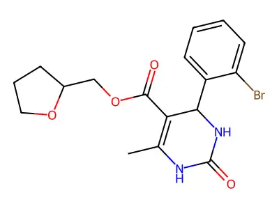 BIM-0022041.P001 structure