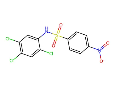 4-nitro-N-(2,4,5-trichlorophenyl)benzenesulfonamide structure