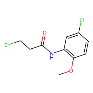 3-chloro-N-(5-chloro-2-methoxyphenyl)propanamide structure