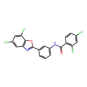 2,4-dichloro-N-[3-(5,7-dichloro-1,3-benzoxazol-2-yl)phenyl]benzamide structure