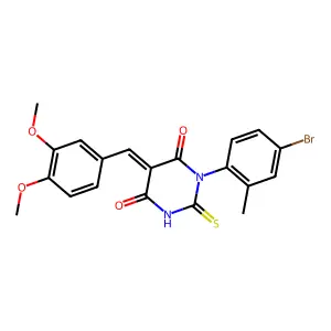 BIM-0040105.P001 structure