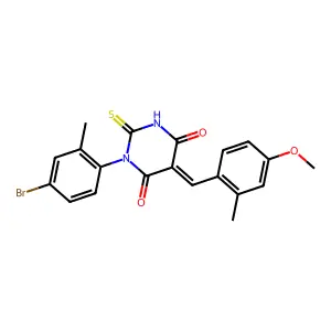 BIM-0039954.P001 structure