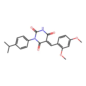 BIM-0039203.P001 structure