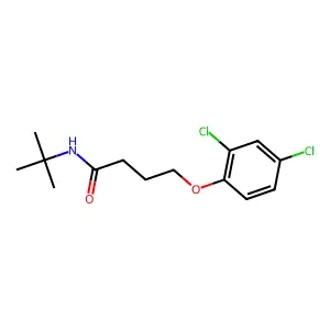 N-tert-butyl-4-(2,4-dichlorophenoxy)butanamide structure