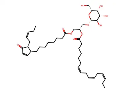 Mgdg-O structure