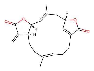 OVATODIOLIDE structure