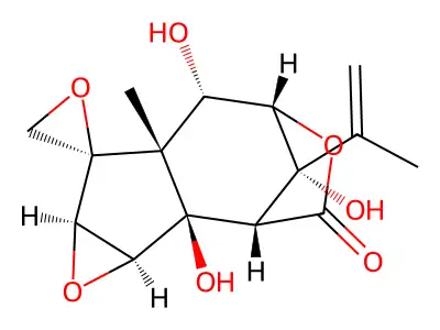 Hyenanchin structure