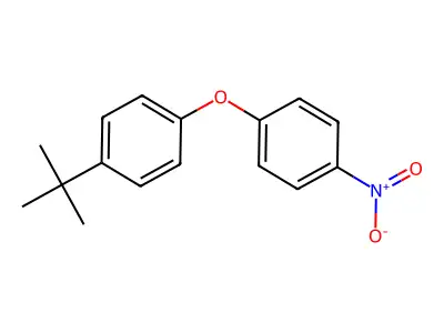 1-Tert-butyl-4-(4-nitrophenoxy)benzene structure