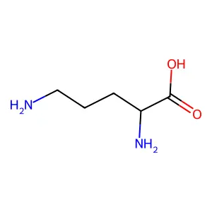 D-鳥氨酸 structure