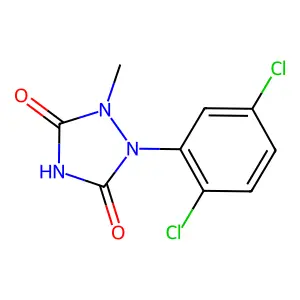 Bicarbamimide, 2-(2,5-dichlorophenyl)-3-methyl- structure
