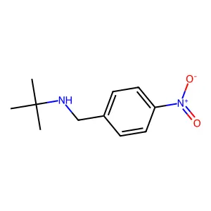 N-(tert-butyl)-N-(4-nitrobenzyl)amine structure