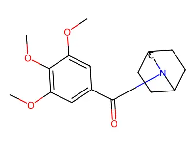 3-Azabicyclo[3.2.2]nonan-3-yl-(3,4,5-trimethoxyphenyl)methanone structure