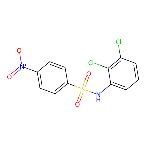 N-(2,3-dichlorophenyl)-4-nitrobenzenesulfonamide structure