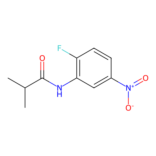 N-(2-fluoro-5-nitrophenyl)-2-methylpropanamide structure
