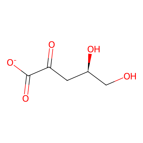 2-Dehydro-3-deoxy-L-arabinonate structure
