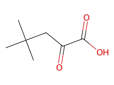 4,4-Dimethyl-2-oxopentanoic acid structure
