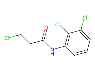 3-chloro-N-(2,3-dichlorophenyl)propanamide structure