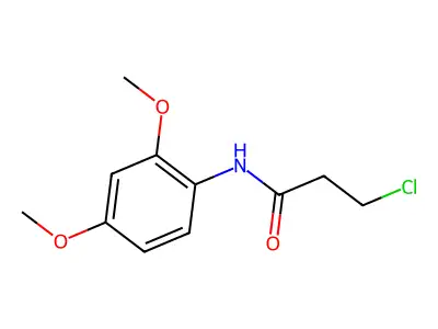 3-chloro-N-(2,4-dimethoxyphenyl)propanamide structure