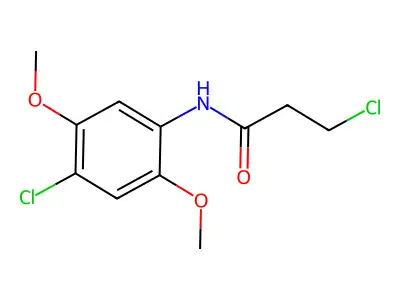 3-chloro-N-(4-chloro-2,5-dimethoxyphenyl)propanamide structure