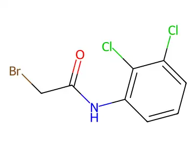 2-bromo-N-(2,3-dichlorophenyl)acetamide structure