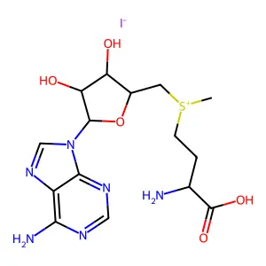 S-(5'-deoxy-5'-adenosyl)methionine iodide structure