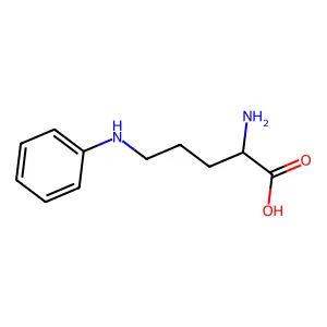 n5-Phenylornithine structure