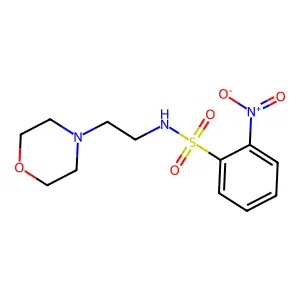 N-(2-morpholin-4-ylethyl)-2-nitrobenzenesulfonamide structure